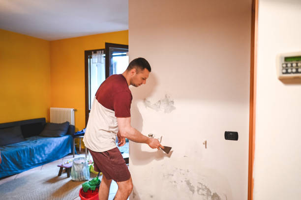 Trusted Montrose Ghent, OH Mold Removal Experts